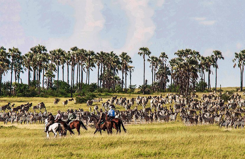 Be part of the landscape with horse safaris across the Okavango Delta
