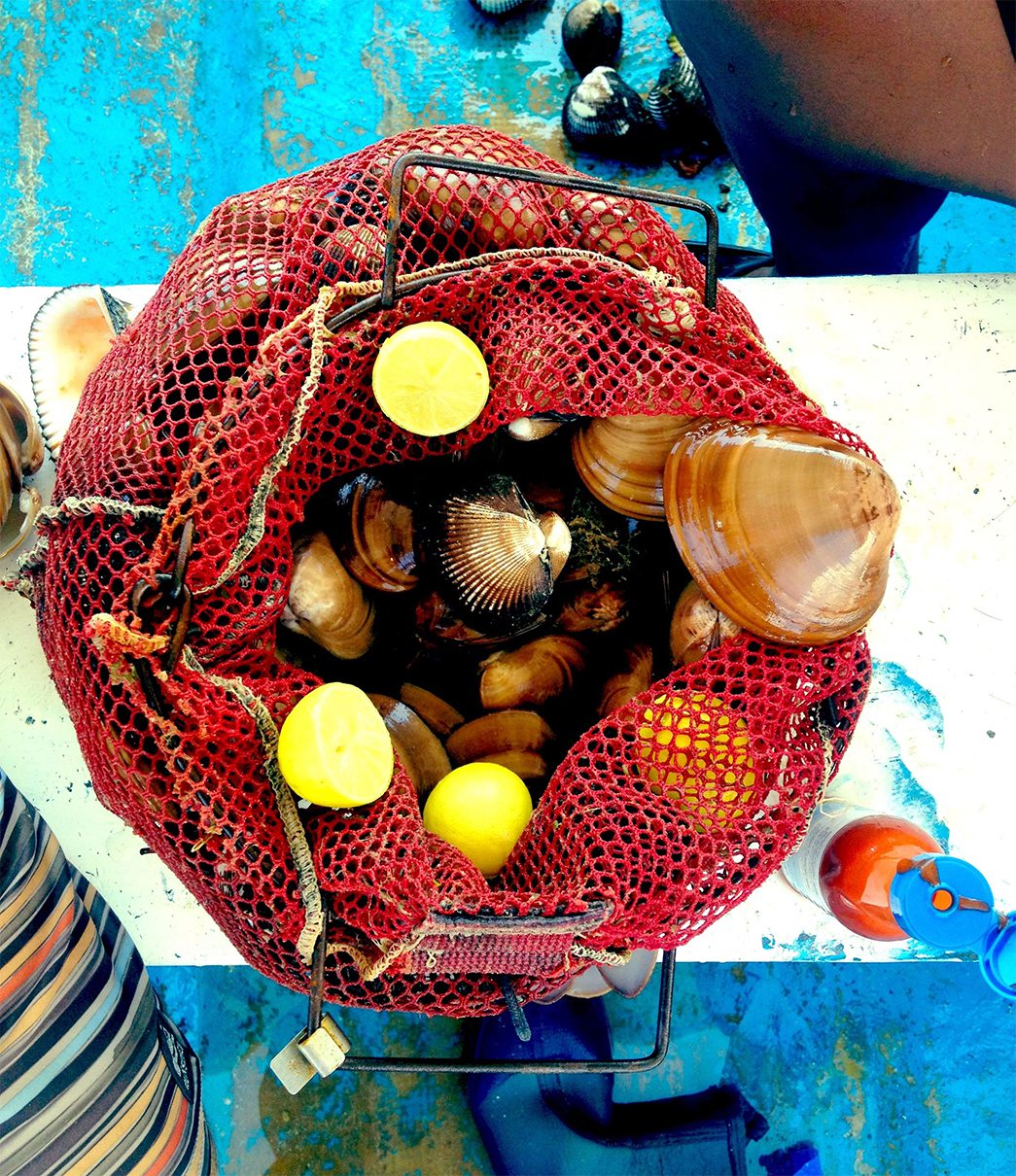Almejas pata de mula literally translates to “clams mule’s foot,” and figuratively means that these clams are so rich you feel like you’ve been kicked in the chest by a mule when you eat them