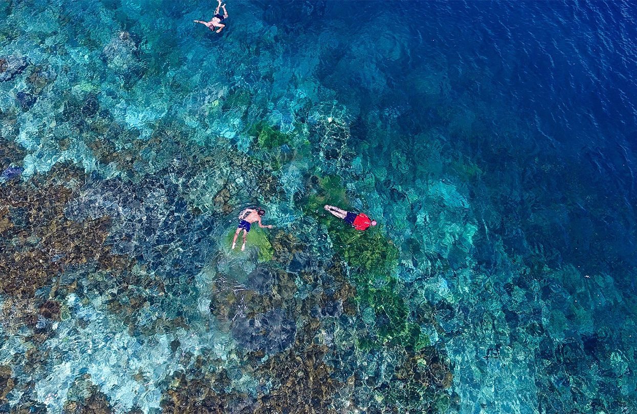 Snorkelling over the reef