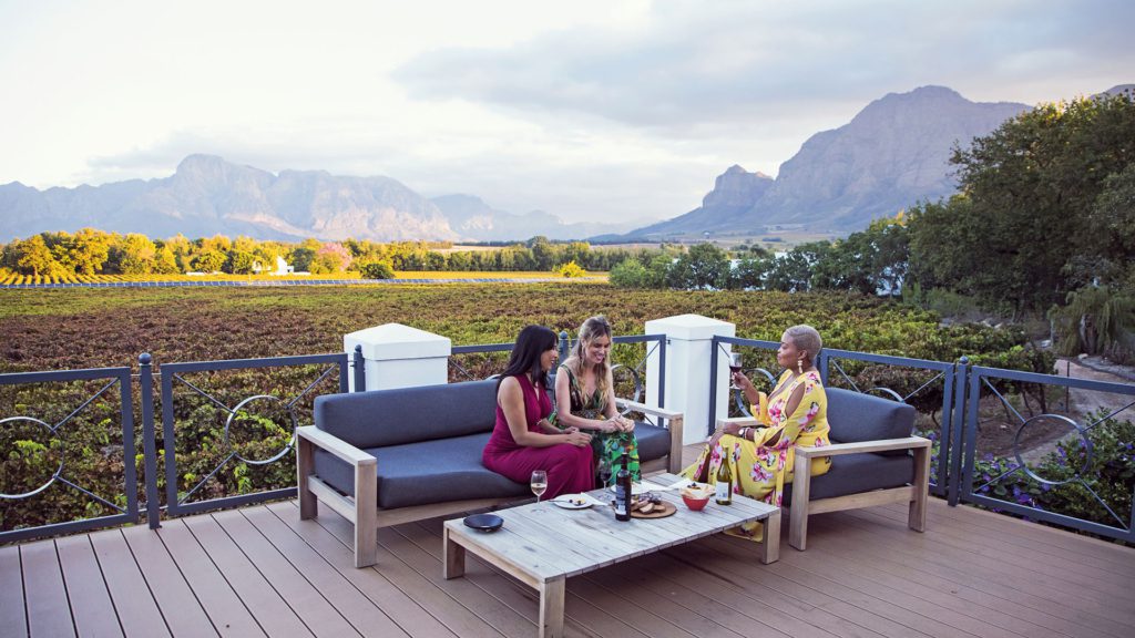 Vineyard in Western Cape